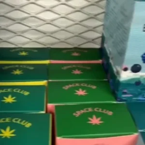 8852b9b0-773f-4a23-be46-b73c163a709d-330x430-1.webp Space Club Disposables deutschland