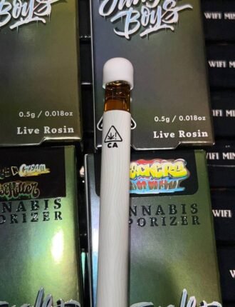 Jungle Boys Disposables deutschland